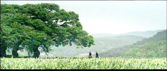 Love So Devine Trailer