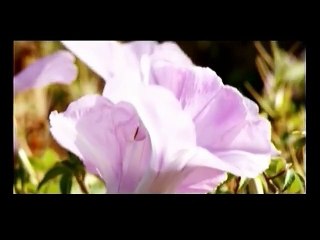 2009棒棒堂-說說MV