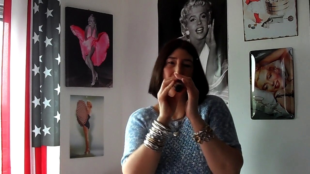 MIKE BRANT LA MUSIQUE AU FOND DU COEUR...