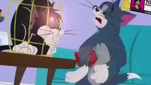 Dessin Animé Tom et Jerry en Francais 2015 HD Dessin Animé complet Francais