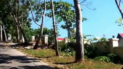 Ngày hè  ở Quy Nhơn