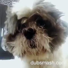 Mahi-Vij-Bollywood-Dubsmash-80lCVGoq_-c