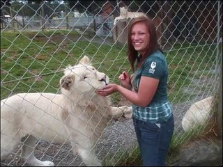 British-gap-year-girl-survives-lion-attack-7zOWCRo23t4