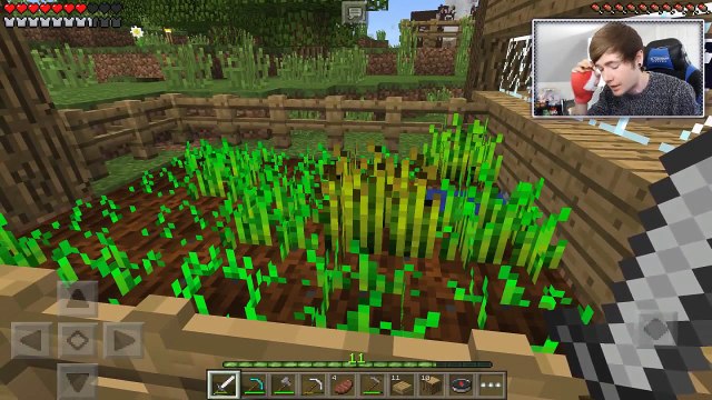 Minecraft Pocket Edition | BEETROOT VILLAGE!! | #9