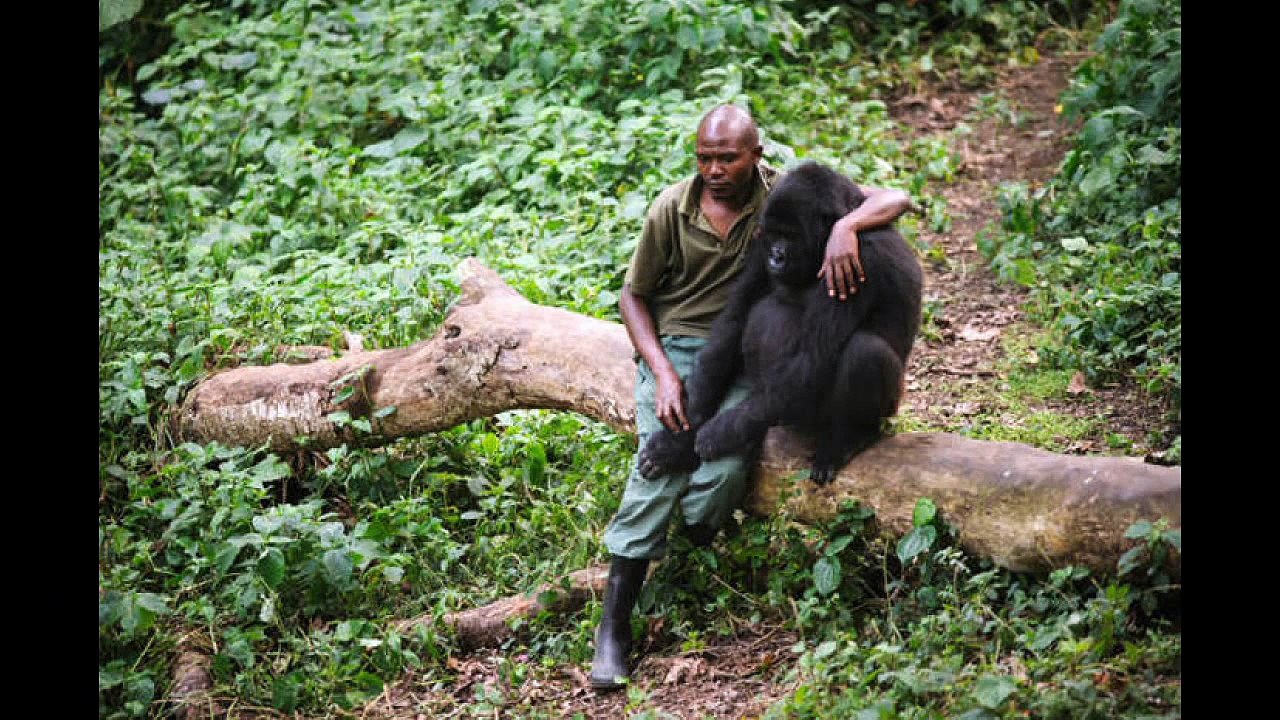 Fails - Oops - Right Moment Pics Compilation, September 16, 2015