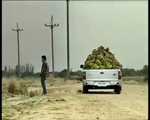 Hehehehe king kong pub