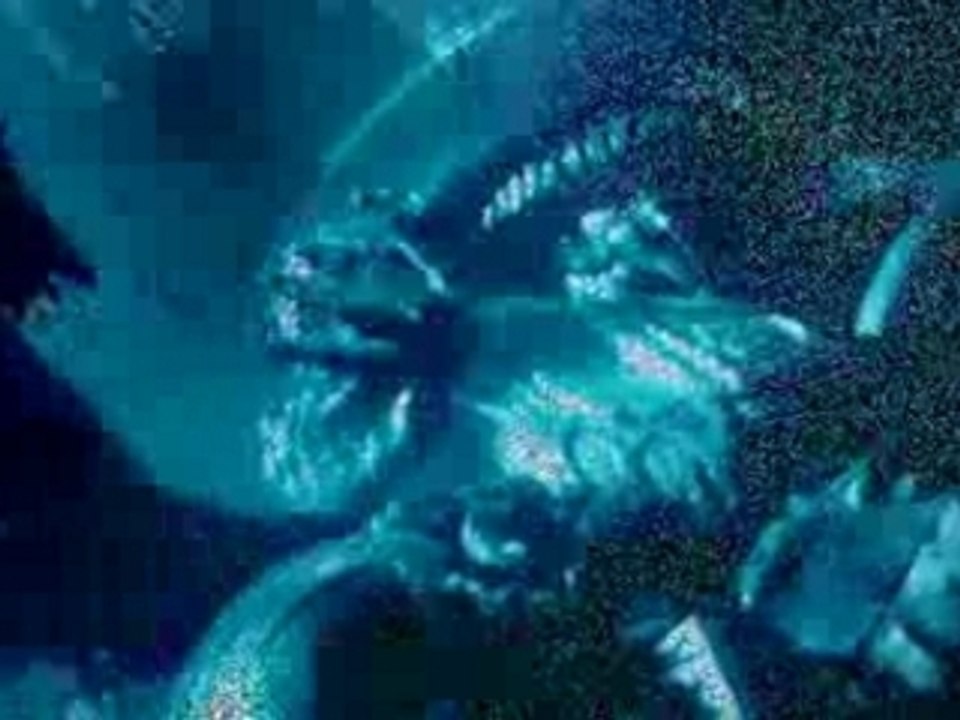 AVP_0003
