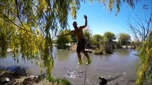 Un fou marche sur une corde au dessus d'un bassin plein d'alligators