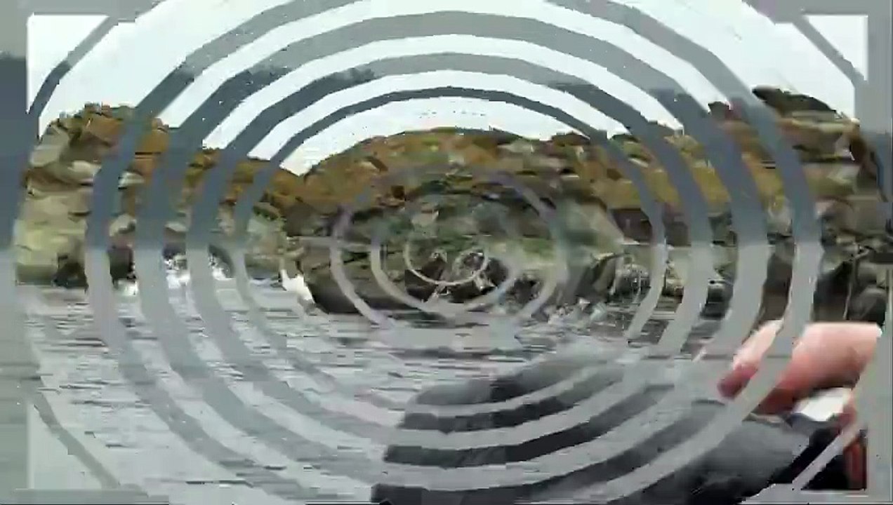 Orca whale watching close encounters