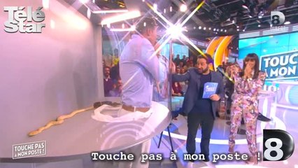 Touche pas à mon poste ! Matthieu Delormeau terrorisé par les serpents - Mercredi 14 octobre 2015.mp4
