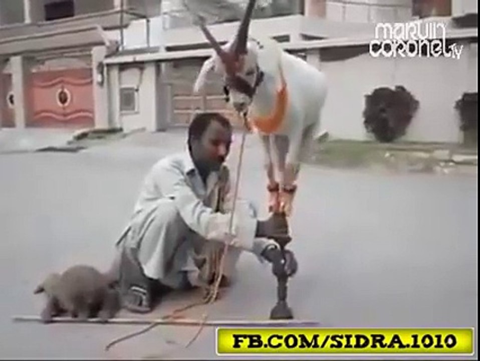 Pakistani have great talent in every Street and everywhere (Must Watch)