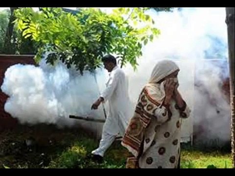 DENGUE FEVER , HEALTH EDUCATION , INFECTION CONTROL (ICSP) , URDU / HINDI , PART 1 OF 3