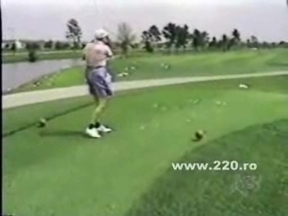 Oiseau_golf