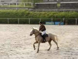 POPSTAR DES NOUETTES