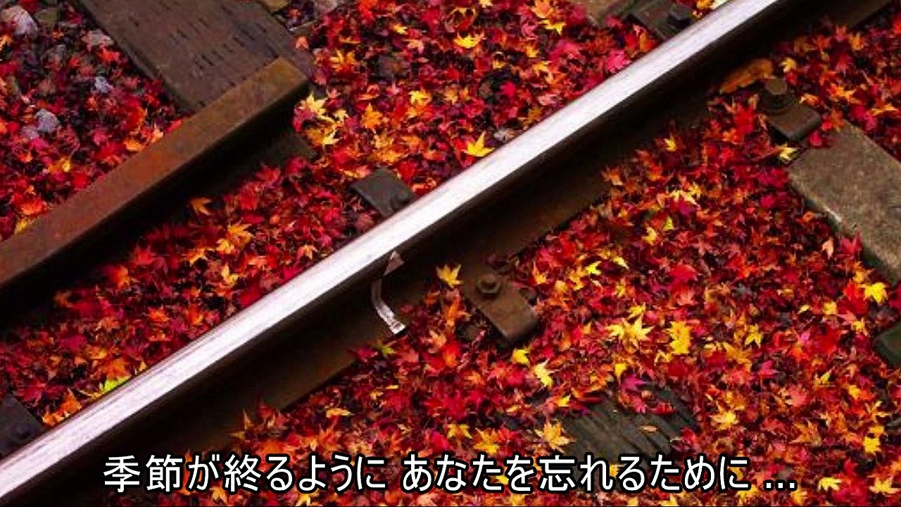 24◆.季節の終わりに  児島未散