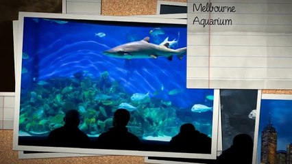 Top Holiday Destinations In Melbourne