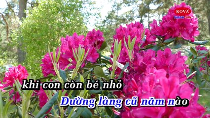 Sương Trắng Miền Quê Ngoại - Quang Lê Thanh Sơn (FuLL Beat)