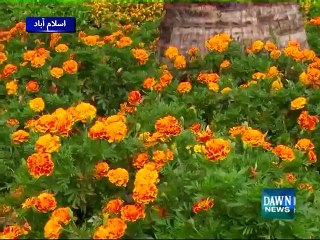 Weather turned into pleasant after rain in Islamabad