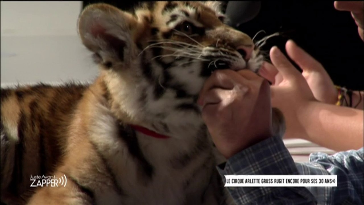 Juste Avant de Zapper - Cirque Arlette Gruss - 14/10/15