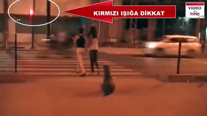 We should learn from this dog