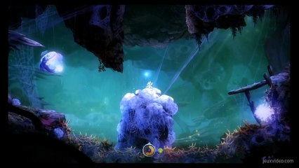 Ori-and-the-blind-forest-guide(1)Bosquet-creux