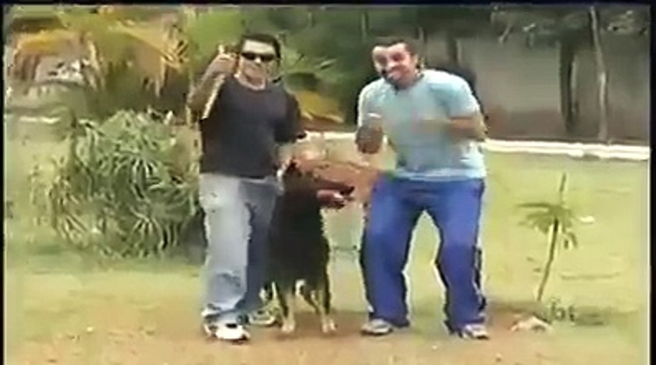 Starring Candid camera with a dog