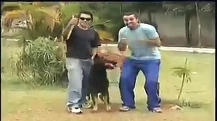 Starring Candid camera with a dog