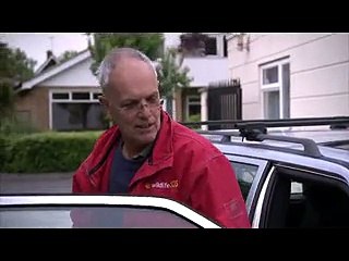 Un uomo rischia la propria pelle per salvare la vita ad un piccolo cigno