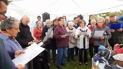 Ham : La marche bleue se termine en musique