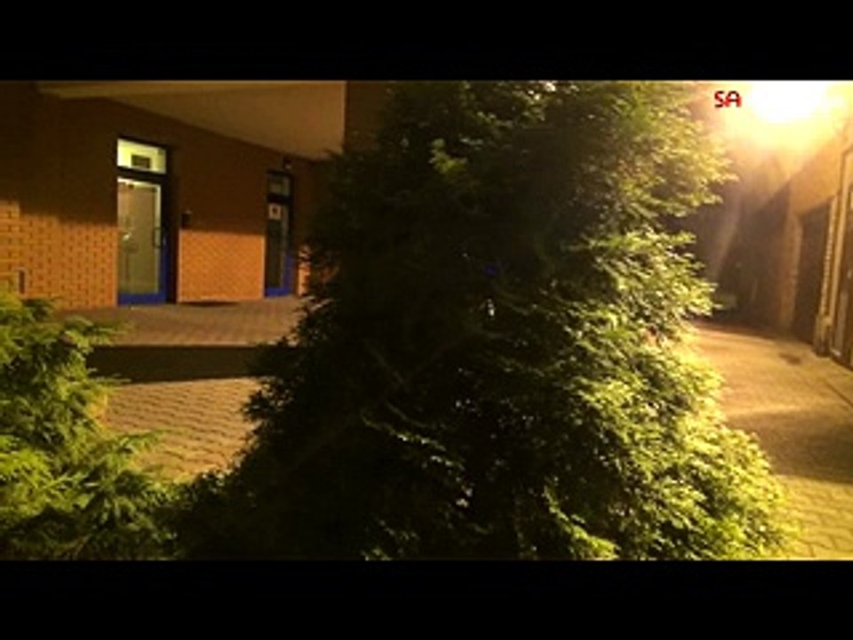 Il terrificante scherzo del cane-ragno gigante