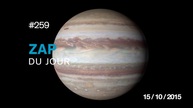 ZAP DU JOUR #259 : La nouvelle arme du bûcheron / Un convoi de 950 tonnes / Un samouraï découpe une balle de baseball /