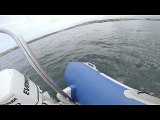 Il video di uno squalo che attacca un gommone in Sudafrica