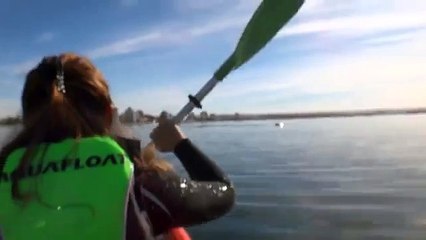 Come cavalcare una balena con il kayak