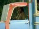 Bud Spencer - Grau Grau Grau - la canzone "Io Sto Con Gli Ippopotami"