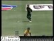 Waqar Younis vs Andrew Symonds_ BEAMERS_ exciting cricket fight