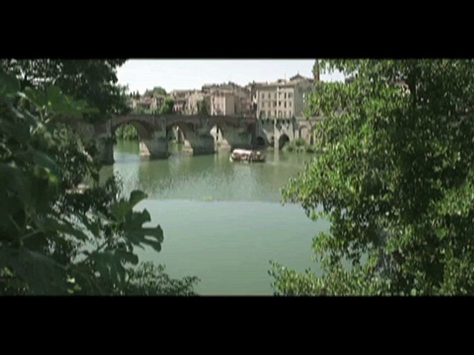 L'epico scontro tra un pesce gatto e un piccione selvatico