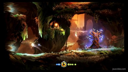 Ori-and-the-blind-forest-soluce(8)arbre-ginso-partie2
