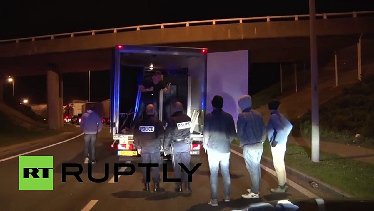 Des migrants tombent sur un ours polaire en montant dans un camion !