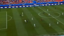 Super gol di Van Persie, Spagna-Olanda, Mondiali Brasile 2014