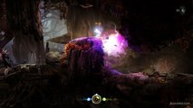 Ori-and-the-blind-forest-soluce(3)-maîtrise-flamme-attisée