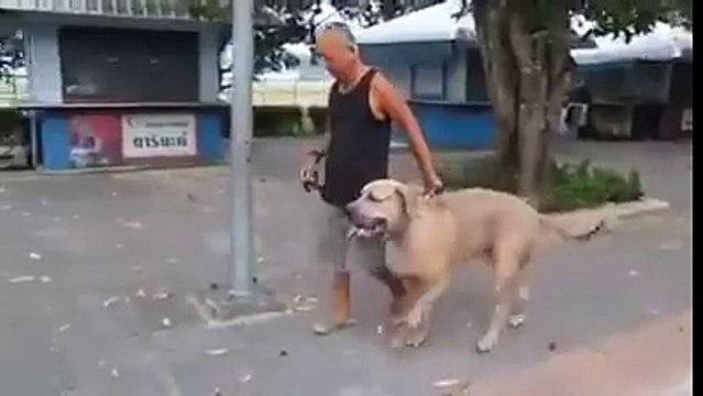 ماں کا عظیم رتبہ ایسے ہی تو نہیں ہے، اپنے بچوں کی خاطر بڑے سے بڑے طوفان سے ٹکرا جاتی ہے