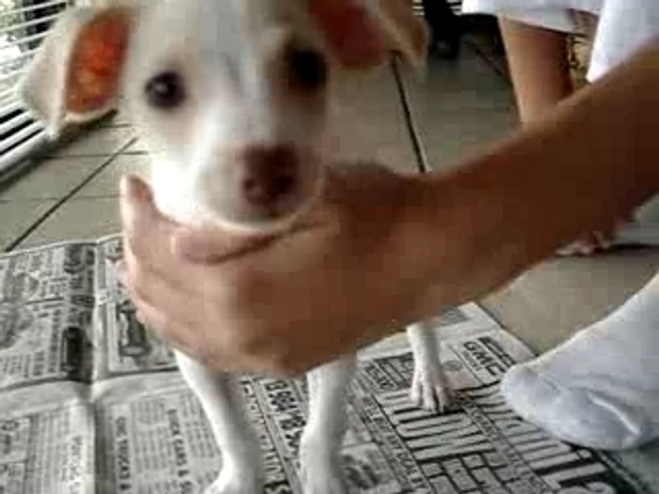 Benny 1