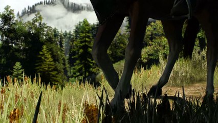 The Witcher 3 - Lever la malédiction sur Uma (part 2) - i5 4690k + GTX 970