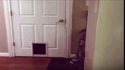 Because He can 21sec