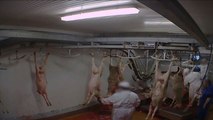 Abattoir d'Alès: l'interprofession des viandes condamne des 