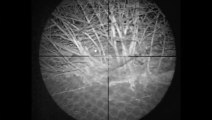 Guy shoots Rats with Air Rifle and Night Vision
