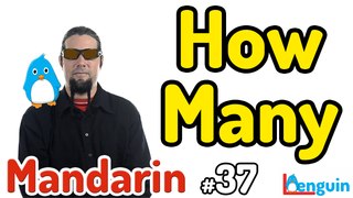 Learn Mandarin Chinese - Do you have? How many? (Lesson 37)