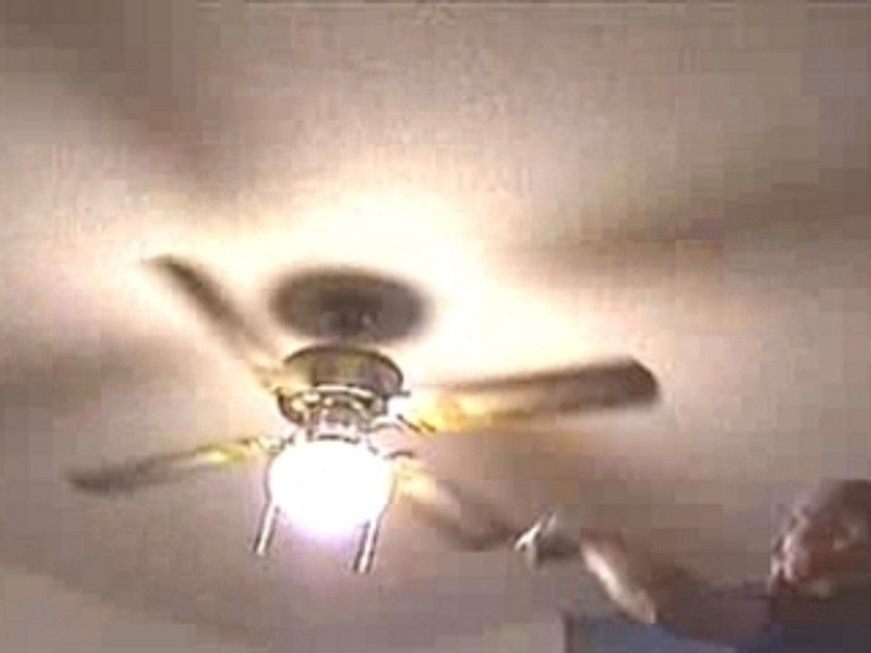 Fxck You Fan