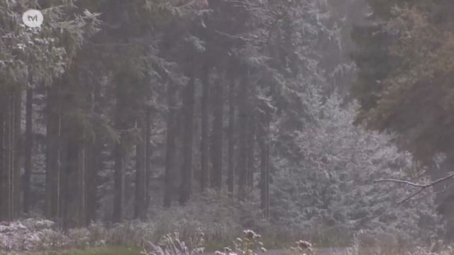 Premiers flocons : pas nécessairement le prélude à un hiver rigoureux