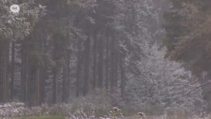 Premiers flocons : "pas nécessairement le prélude à un hiver rigoureux"